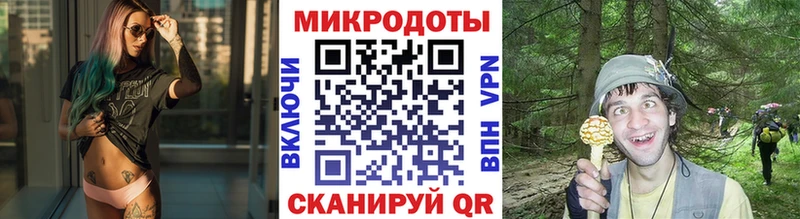 закладки  Боровск  Галлюциногенные грибы мицелий 